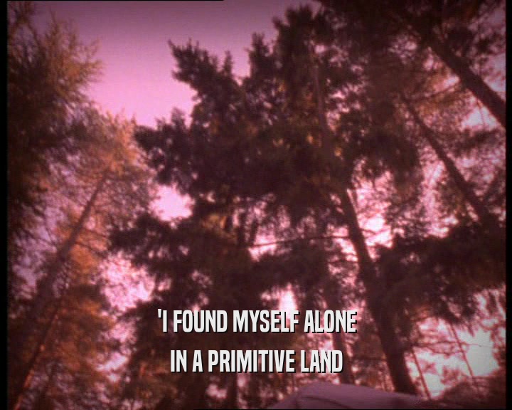 'I FOUND MYSELF ALONE IN A PRIMITIVE LAND 