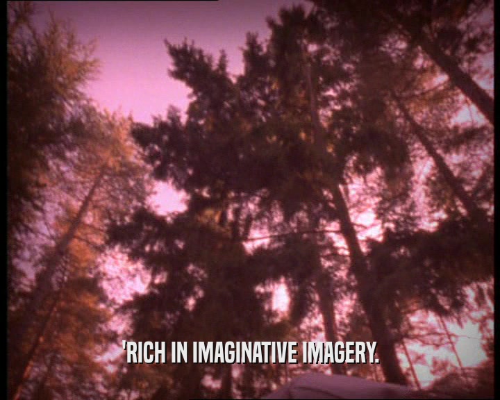'RICH IN IMAGINATIVE IMAGERY.  