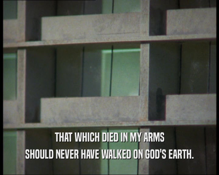 THAT WHICH DIED IN MY ARMS
 SHOULD NEVER HAVE WALKED ON GOD'S EARTH.
 