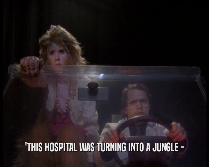 'THIS HOSPITAL WAS TURNING INTO A JUNGLE -
  