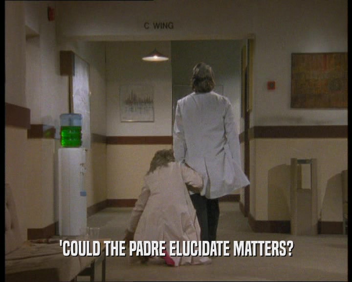 'COULD THE PADRE ELUCIDATE MATTERS?
  