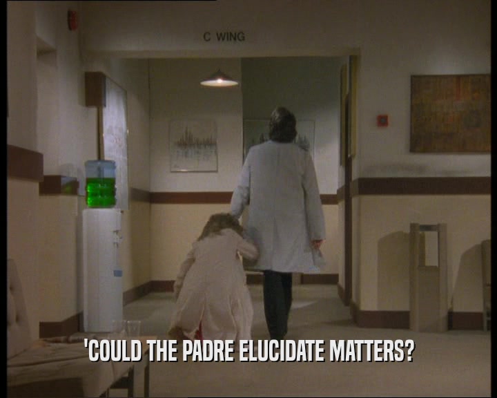 'COULD THE PADRE ELUCIDATE MATTERS?
  