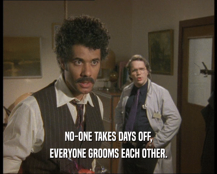 NO-ONE TAKES DAYS OFF, EVERYONE GROOMS EACH OTHER. 