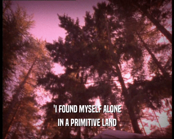 'I FOUND MYSELF ALONE
 IN A PRIMITIVE LAND
 