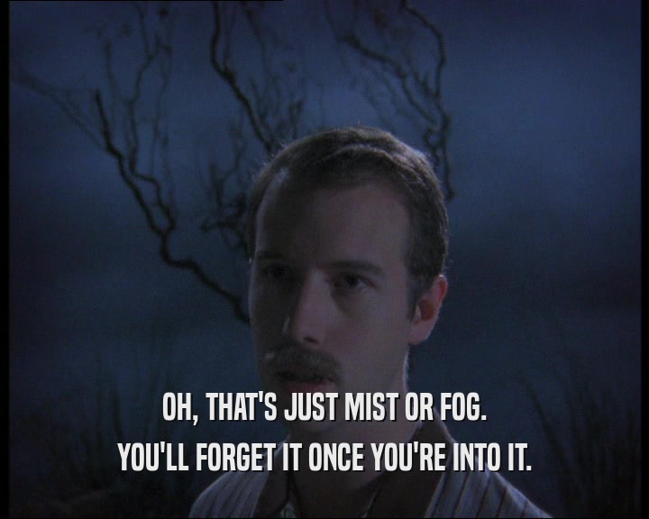 OH, THAT'S JUST MIST OR FOG. YOU'LL FORGET IT ONCE YOU'RE INTO IT. 