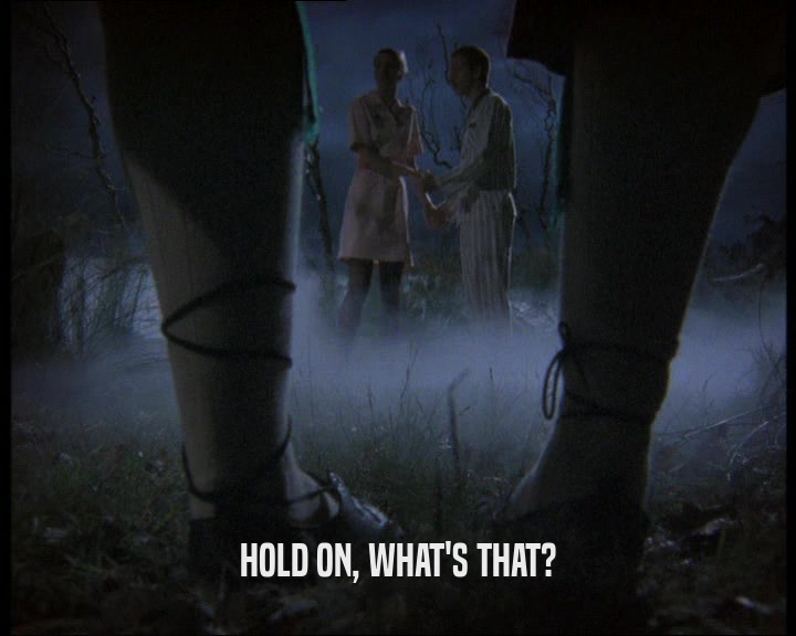 HOLD ON, WHAT'S THAT?  