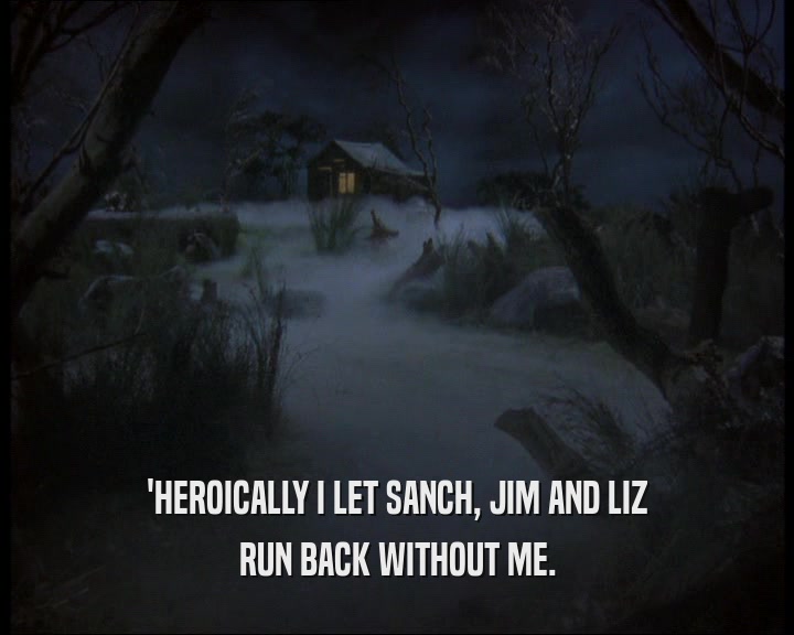 'HEROICALLY I LET SANCH, JIM AND LIZ
 RUN BACK WITHOUT ME.
 