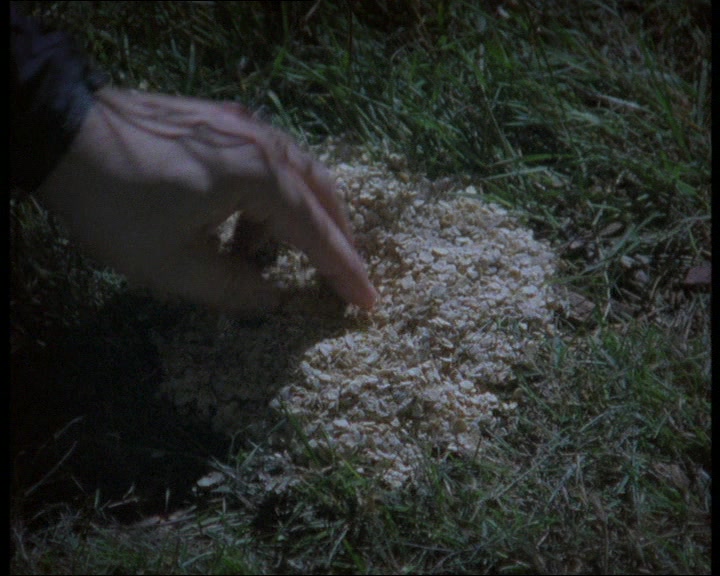 < (LIZ) WHAT IS IT, RICK?  