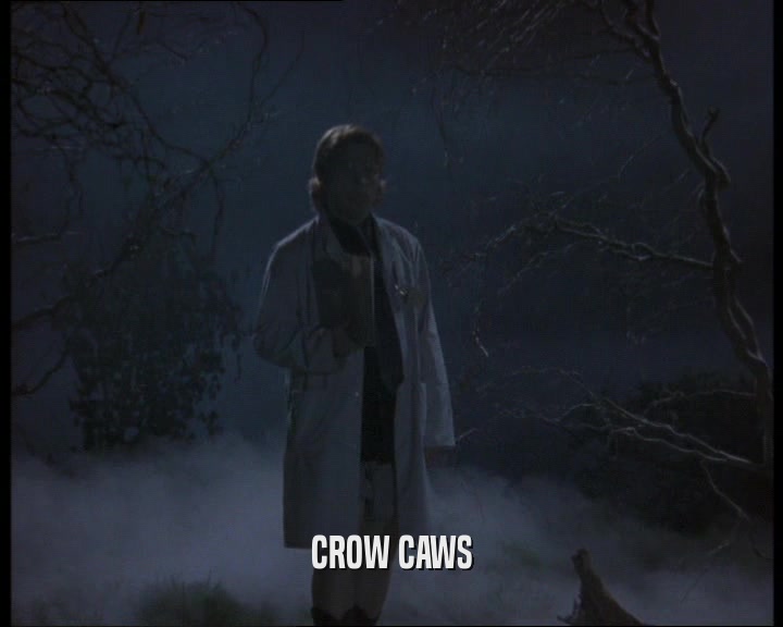 CROW CAWS  