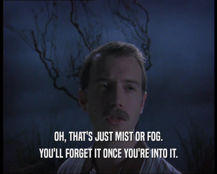 OH, THAT'S JUST MIST OR FOG.
 YOU'LL FORGET IT ONCE YOU'RE INTO IT.
 