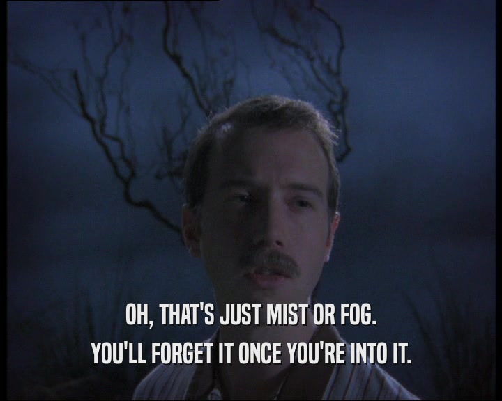 OH, THAT'S JUST MIST OR FOG. YOU'LL FORGET IT ONCE YOU'RE INTO IT. 