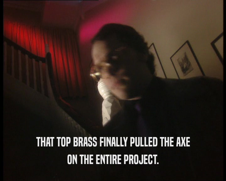 THAT TOP BRASS FINALLY PULLED THE AXE ON THE ENTIRE PROJECT. 