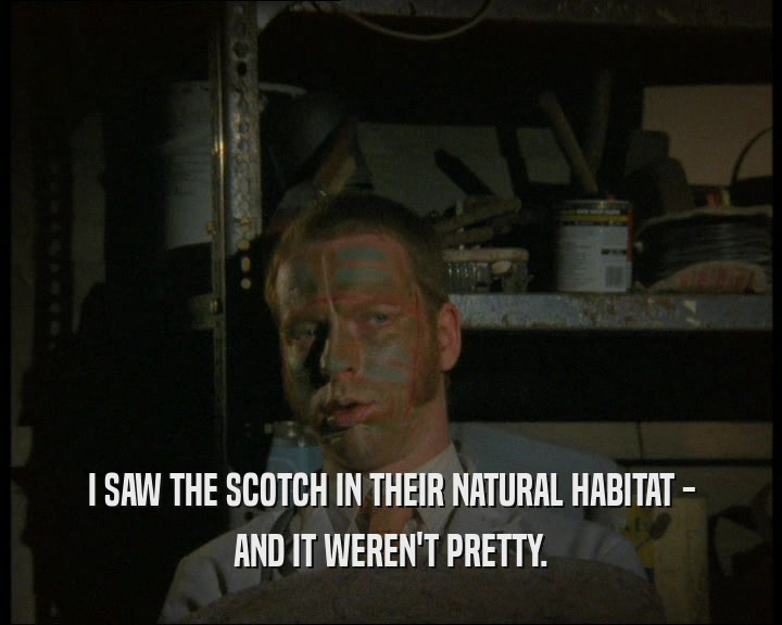 I SAW THE SCOTCH IN THEIR NATURAL HABITAT - AND IT WEREN'T PRETTY. 