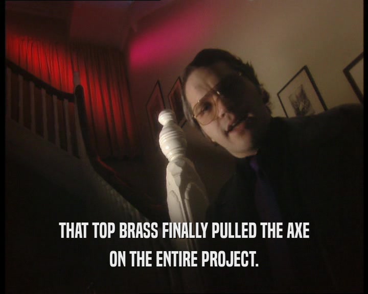 THAT TOP BRASS FINALLY PULLED THE AXE ON THE ENTIRE PROJECT. 
