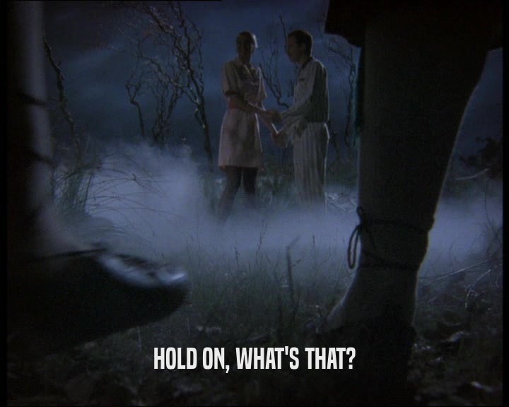 HOLD ON, WHAT'S THAT?  
