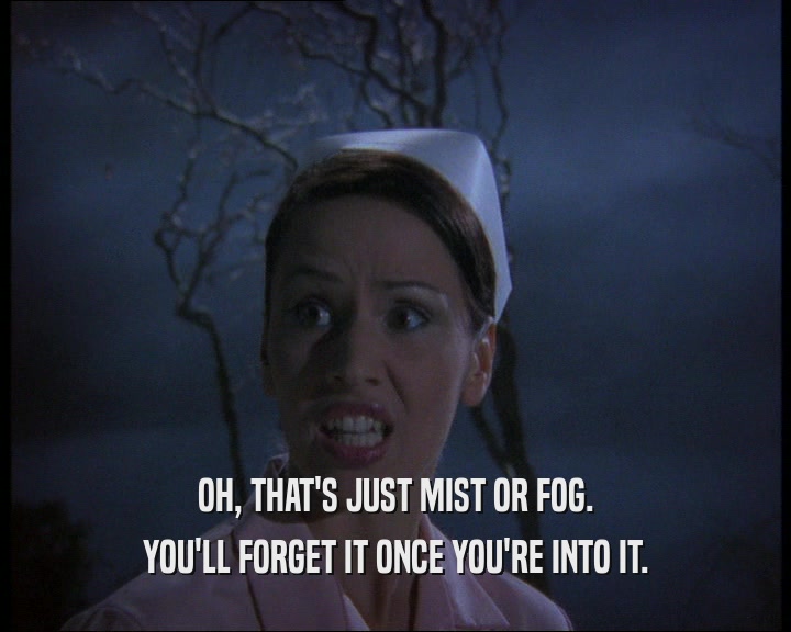 OH, THAT'S JUST MIST OR FOG. YOU'LL FORGET IT ONCE YOU'RE INTO IT. 