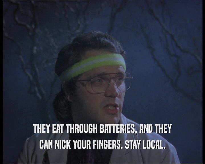 THEY EAT THROUGH BATTERIES, AND THEY CAN NICK YOUR FINGERS. STAY LOCAL. 
