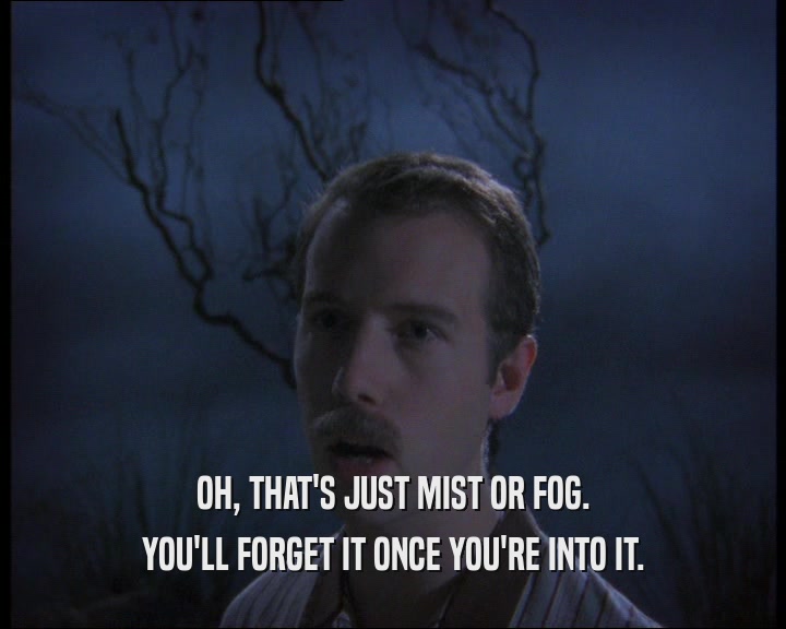OH, THAT'S JUST MIST OR FOG.
 YOU'LL FORGET IT ONCE YOU'RE INTO IT.
 