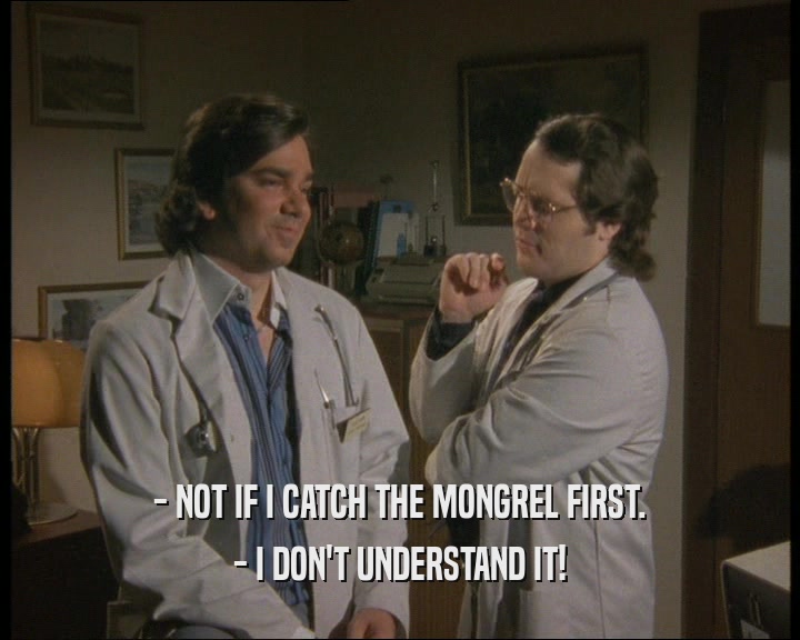 - NOT IF I CATCH THE MONGREL FIRST.
 - I DON'T UNDERSTAND IT!
 