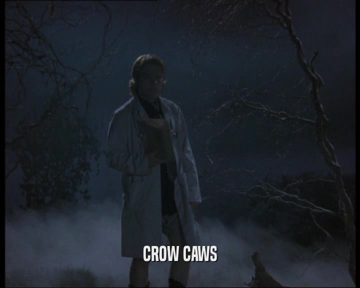 CROW CAWS  