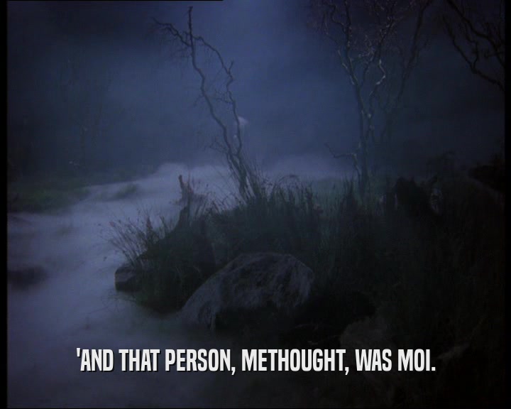 'AND THAT PERSON, METHOUGHT, WAS MOI.
  