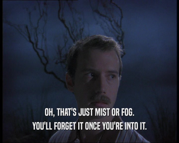 OH, THAT'S JUST MIST OR FOG. YOU'LL FORGET IT ONCE YOU'RE INTO IT. 