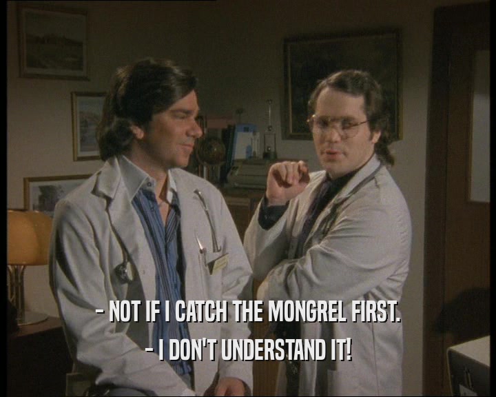- NOT IF I CATCH THE MONGREL FIRST.
 - I DON'T UNDERSTAND IT!
 
