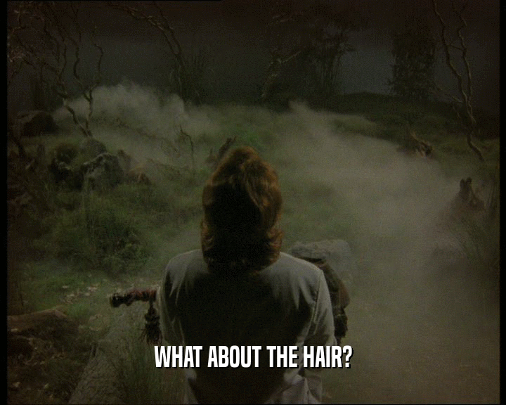 WHAT ABOUT THE HAIR?
  