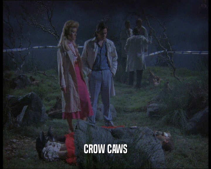 CROW CAWS  