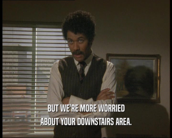 BUT WE'RE MORE WORRIED
 ABOUT YOUR DOWNSTAIRS AREA.
 