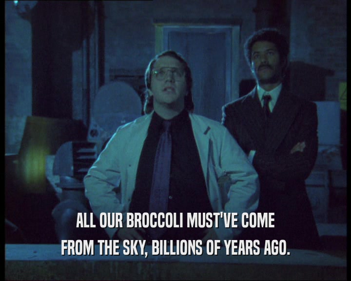 ALL OUR BROCCOLI MUST'VE COME FROM THE SKY, BILLIONS OF YEARS AGO. 