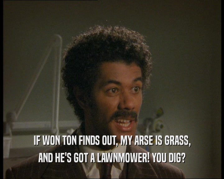IF WON TON FINDS OUT, MY ARSE IS GRASS, AND HE'S GOT A LAWNMOWER! YOU DIG? 