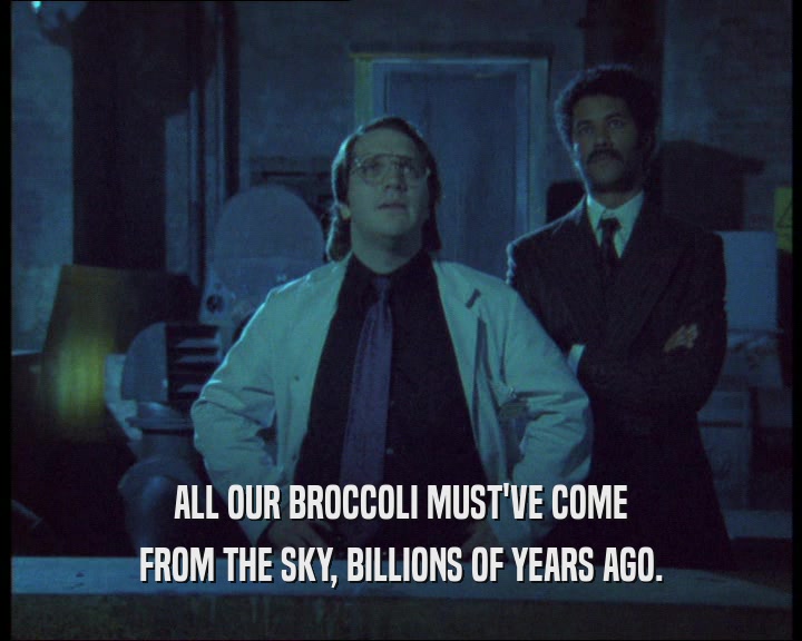 ALL OUR BROCCOLI MUST'VE COME
 FROM THE SKY, BILLIONS OF YEARS AGO.
 