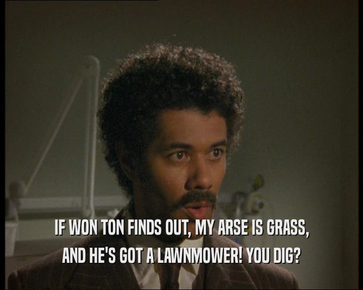 IF WON TON FINDS OUT, MY ARSE IS GRASS, AND HE'S GOT A LAWNMOWER! YOU DIG? 