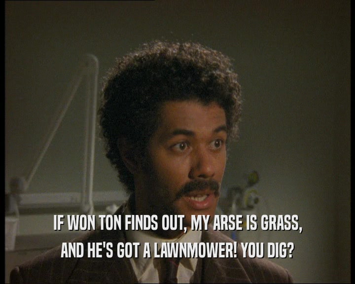IF WON TON FINDS OUT, MY ARSE IS GRASS, AND HE'S GOT A LAWNMOWER! YOU DIG? 