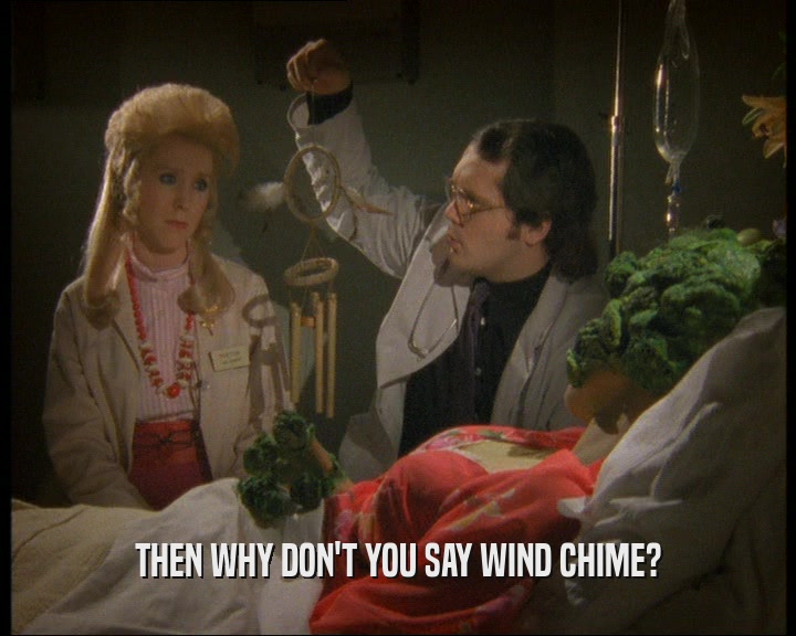 THEN WHY DON'T YOU SAY WIND CHIME?
  