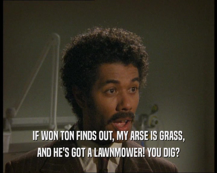 IF WON TON FINDS OUT, MY ARSE IS GRASS, AND HE'S GOT A LAWNMOWER! YOU DIG? 
