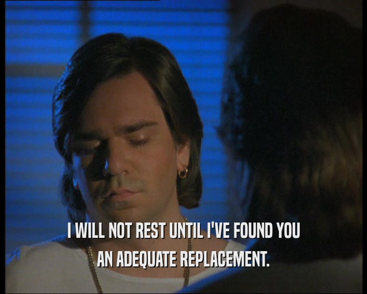 I WILL NOT REST UNTIL I'VE FOUND YOU AN ADEQUATE REPLACEMENT. 