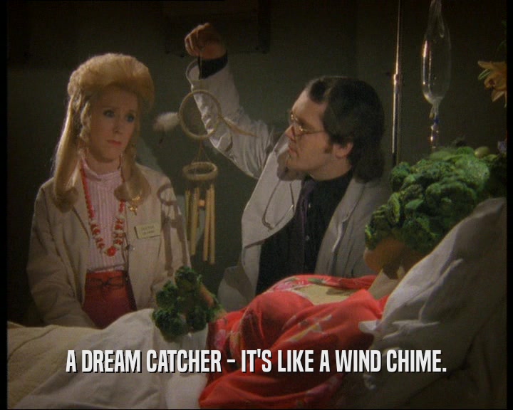 A DREAM CATCHER - IT'S LIKE A WIND CHIME.
  