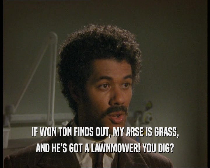 IF WON TON FINDS OUT, MY ARSE IS GRASS, AND HE'S GOT A LAWNMOWER! YOU DIG? 