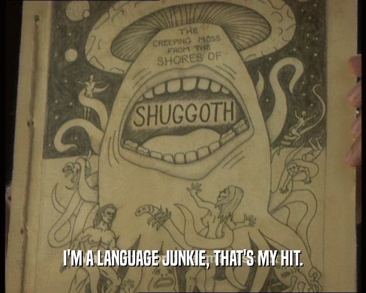 I'M A LANGUAGE JUNKIE, THAT'S MY HIT.
  