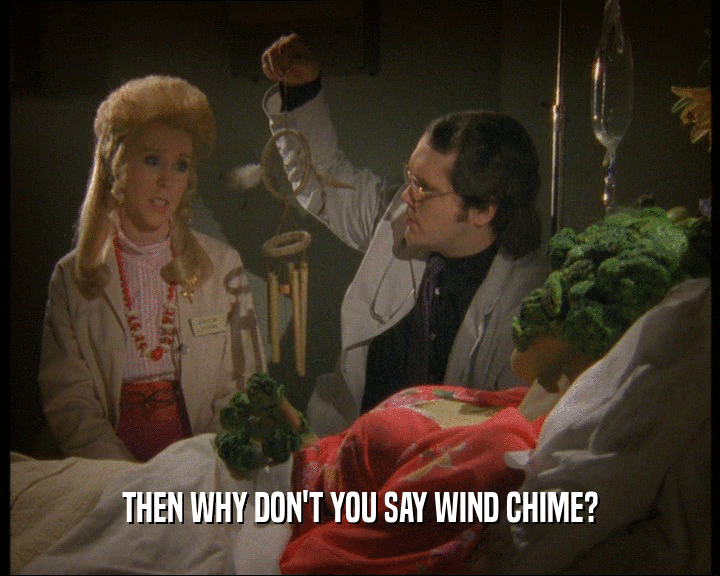 THEN WHY DON'T YOU SAY WIND CHIME?
  