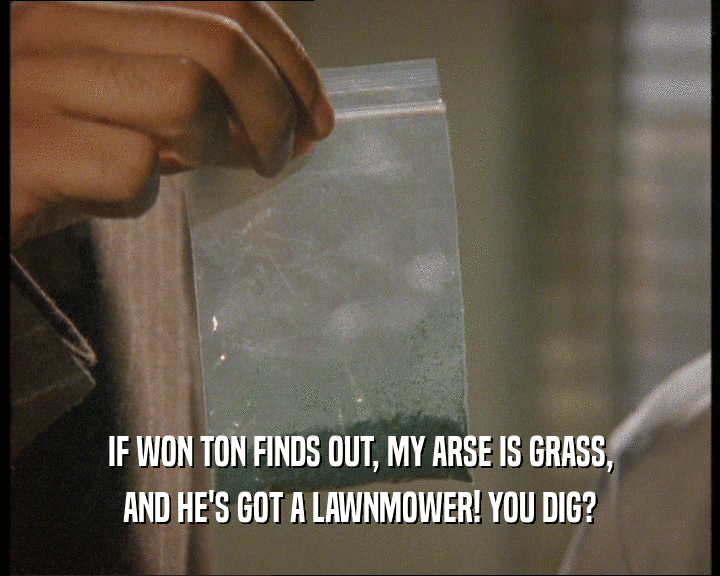 IF WON TON FINDS OUT, MY ARSE IS GRASS,
 AND HE'S GOT A LAWNMOWER! YOU DIG?
 