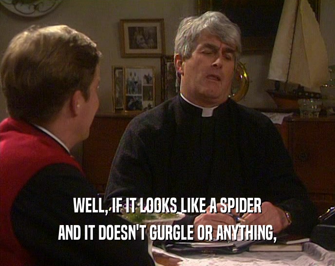WELL, IF IT LOOKS LIKE A SPIDER AND IT DOESN'T GURGLE OR ANYTHING, 