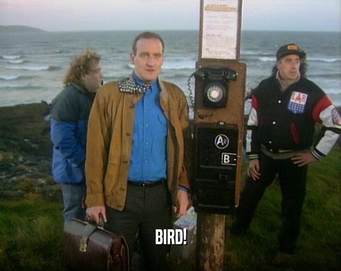 BIRD!  