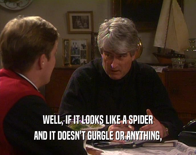 WELL, IF IT LOOKS LIKE A SPIDER AND IT DOESN'T GURGLE OR ANYTHING, 