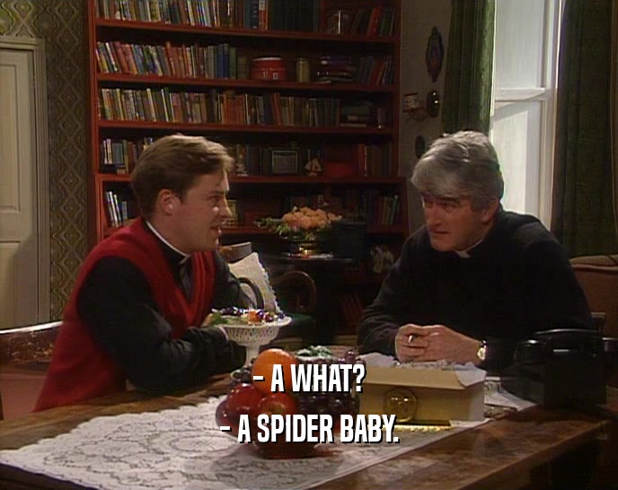 - A WHAT? - A SPIDER BABY. 