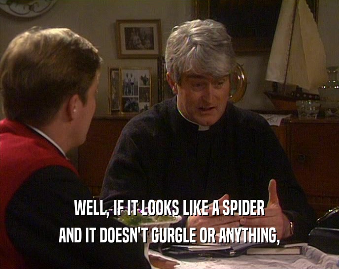 WELL, IF IT LOOKS LIKE A SPIDER AND IT DOESN'T GURGLE OR ANYTHING, 