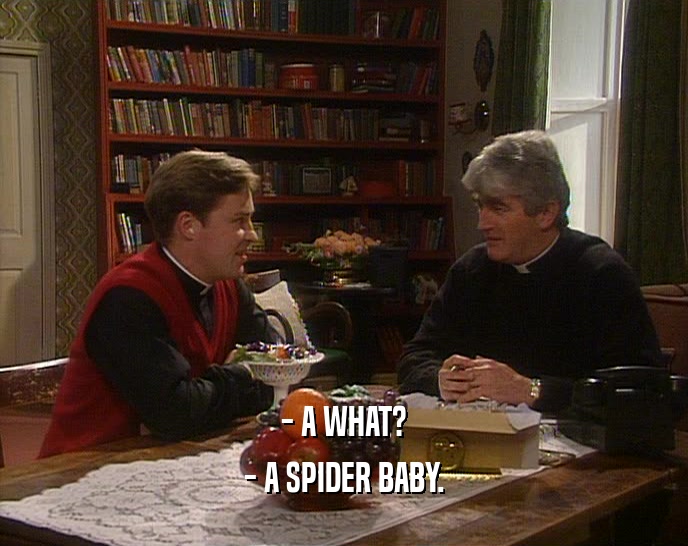 - A WHAT? - A SPIDER BABY. 
