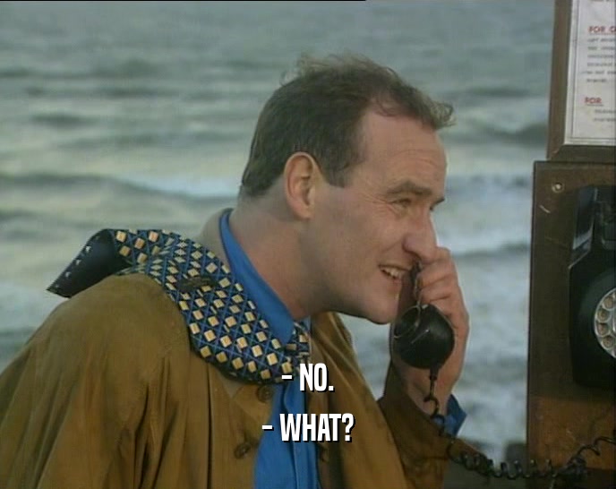 - NO. - WHAT? 